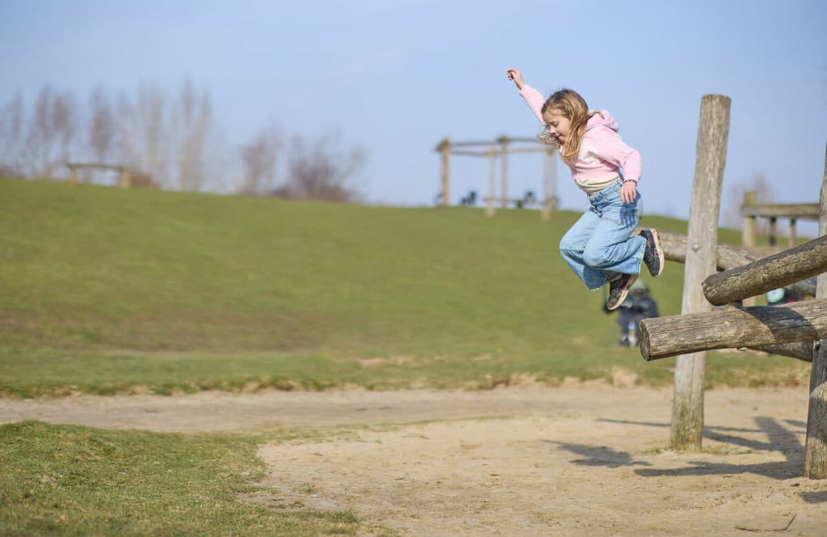 Great Notley Country Park - Image 3