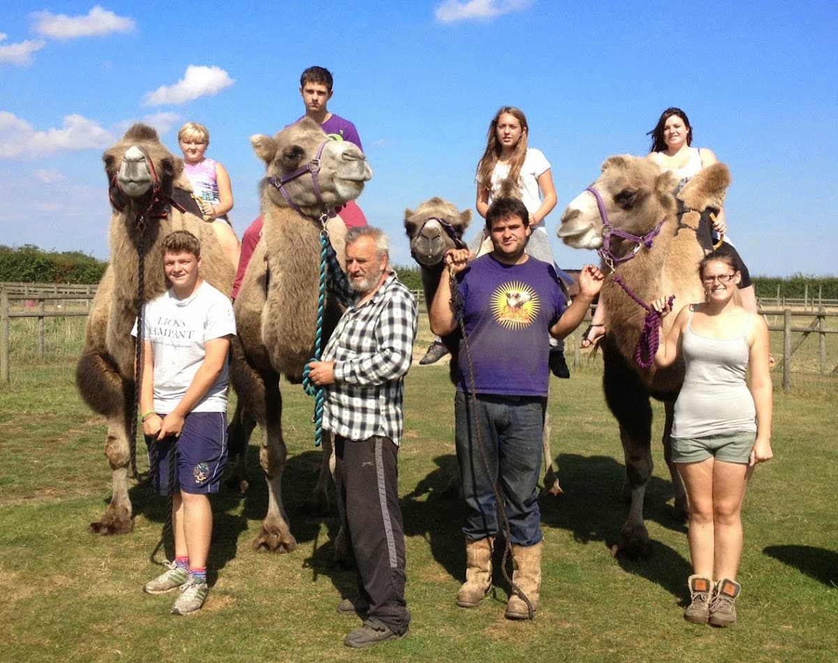Camel Park Oasis - Main view