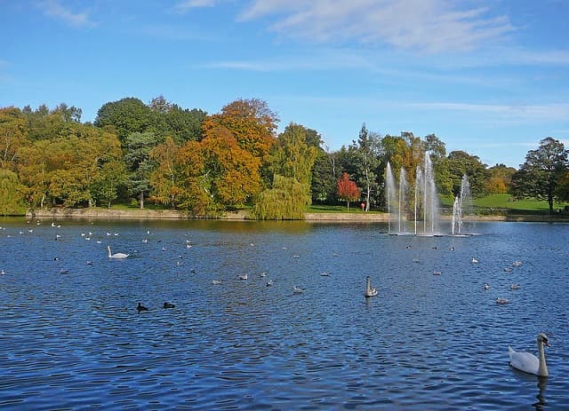 Roundhay Park - Image 1