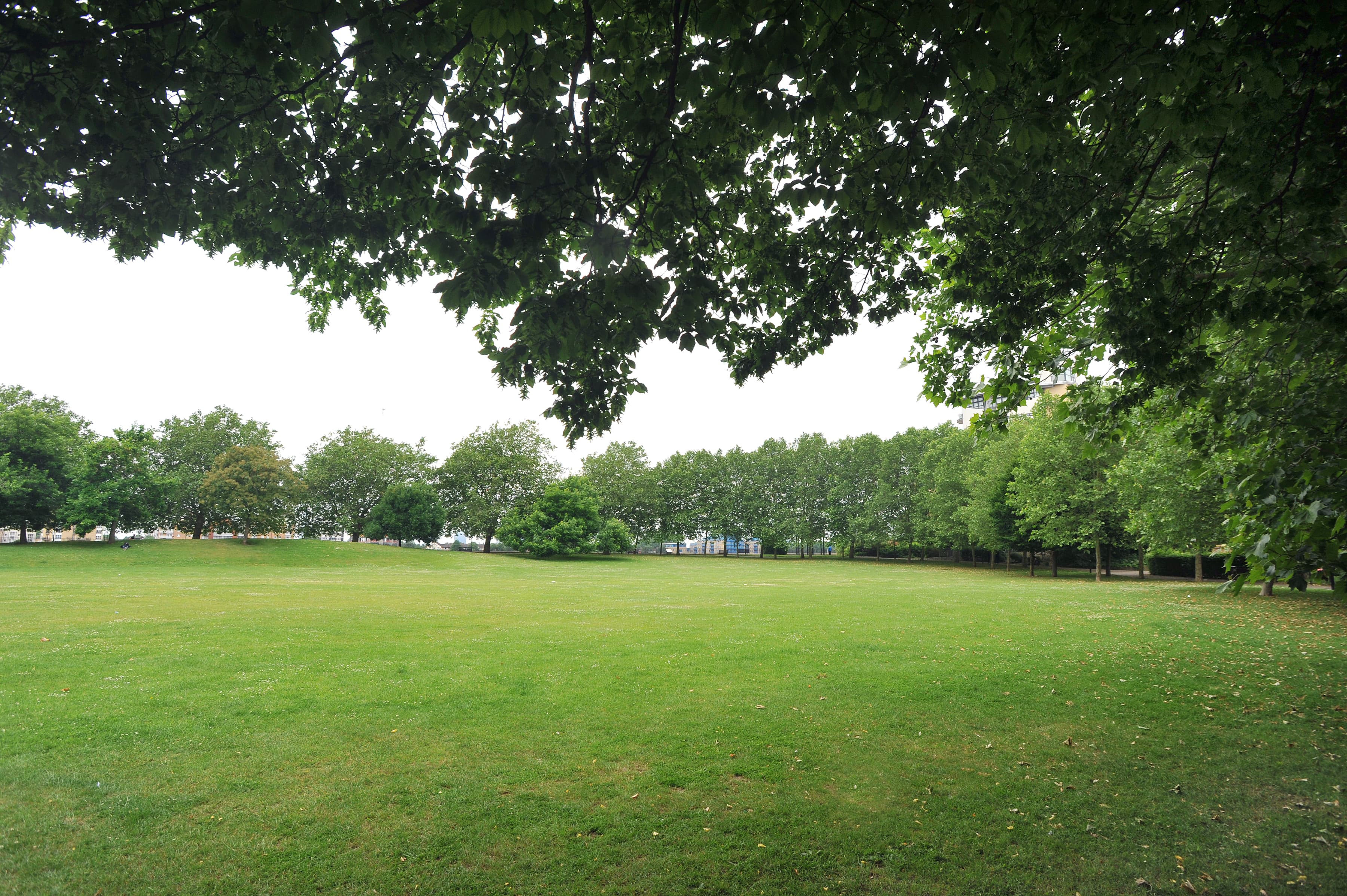 Sir John McDougall Gardens - Main view