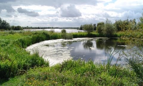 Summer Leys Nature Reserve - Image 2