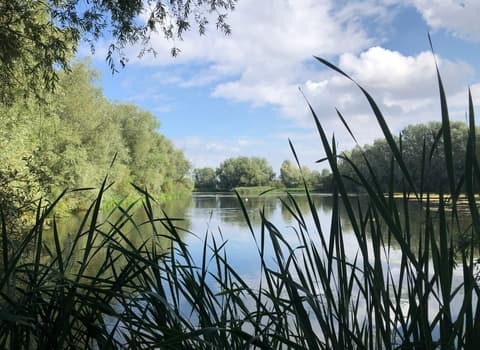 Summer Leys Nature Reserve - Image 4