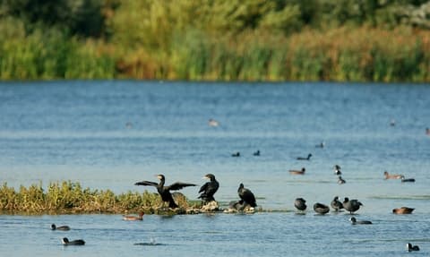 Summer Leys Nature Reserve - Image 5