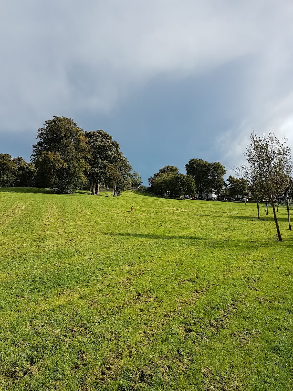 Garrowhill Park - Image 2