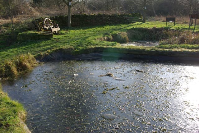 Mill Park Reserve - Long Buckby Green Spaces - Main view