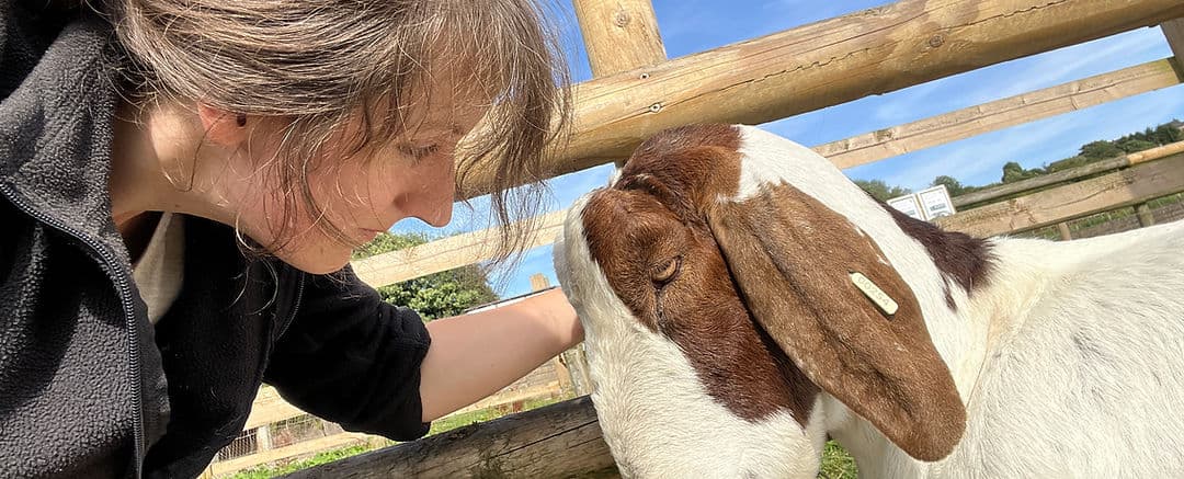 Brockswood Animal Sanctuary - Image 3