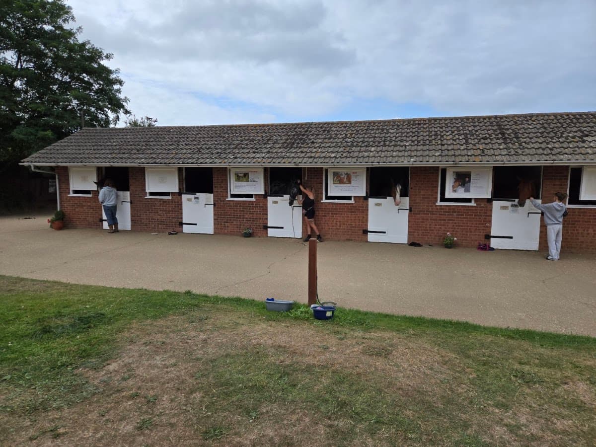 Hillside Shire Horse Sanctuary - Image 2