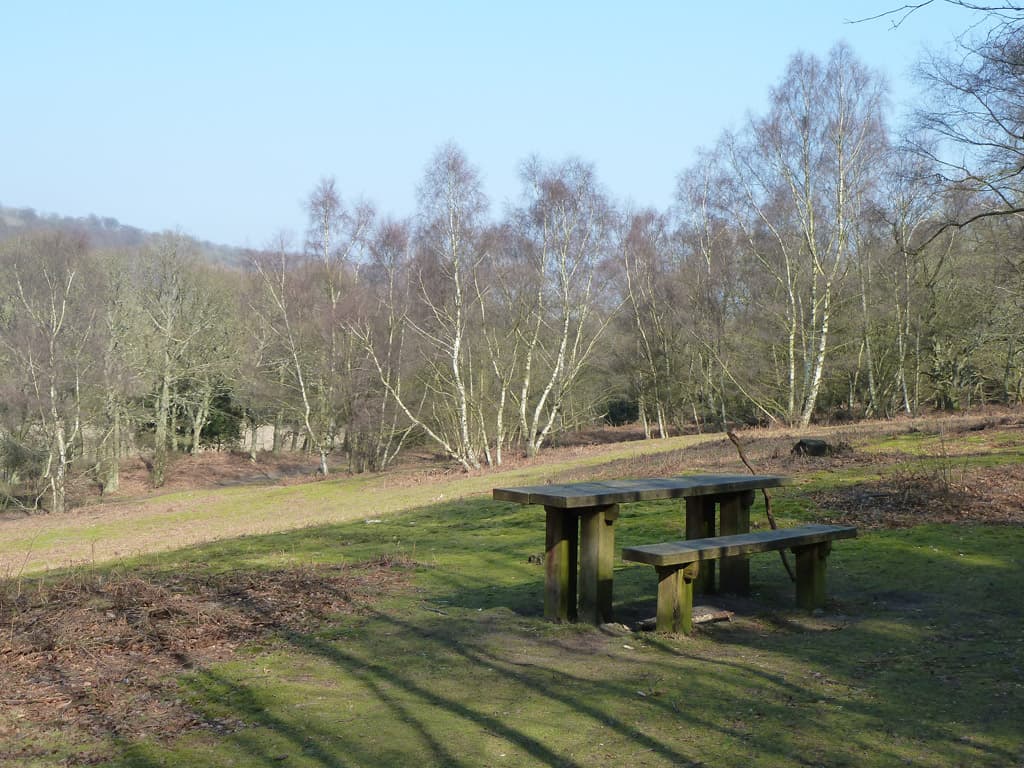 National Trust - Abinger Roughs and Netley Park - Image 4