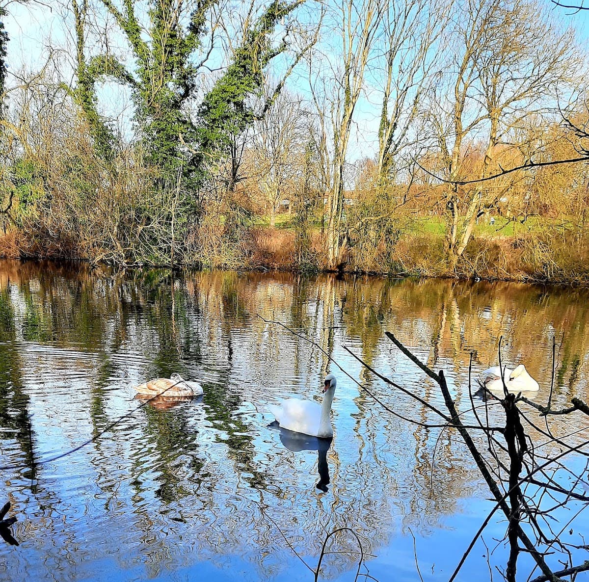 Campsall Country Park - Image 2