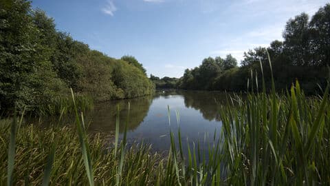 Skylarks Nature Reserve - Image 2