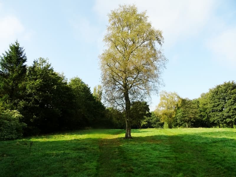 Longsight Park - Main view
