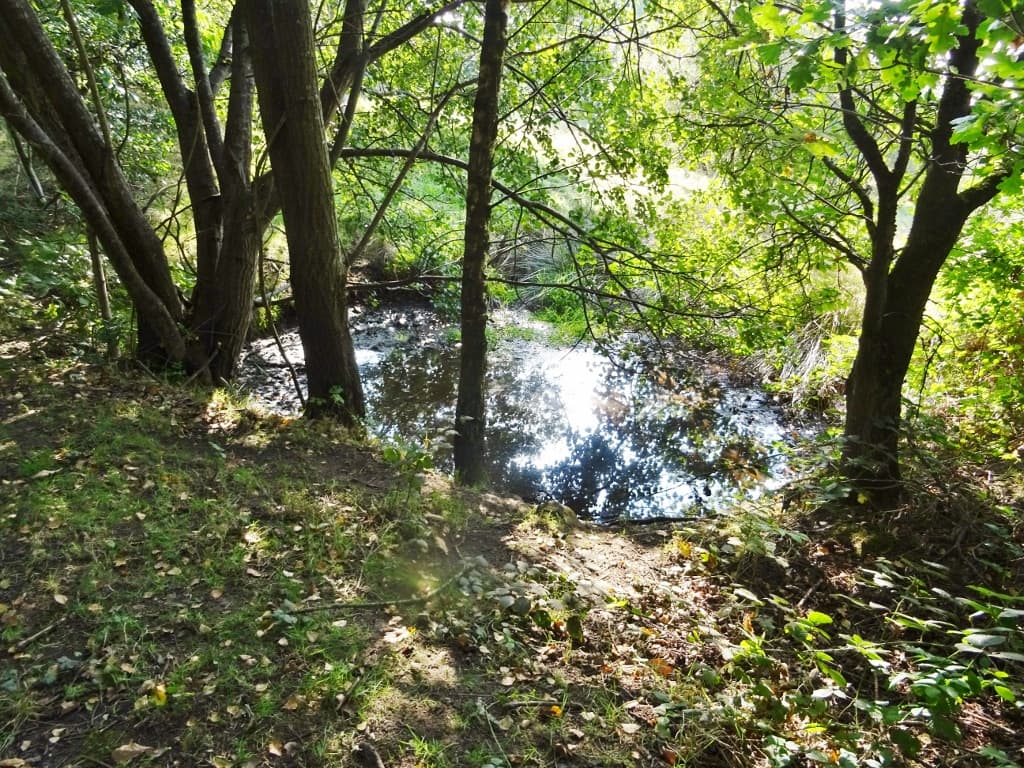 Longsight Park - Image 2