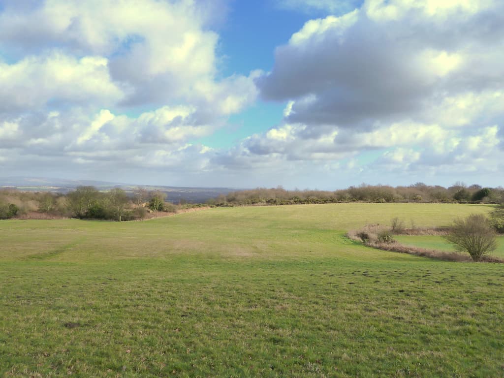 Beacon Country Park - Image 2