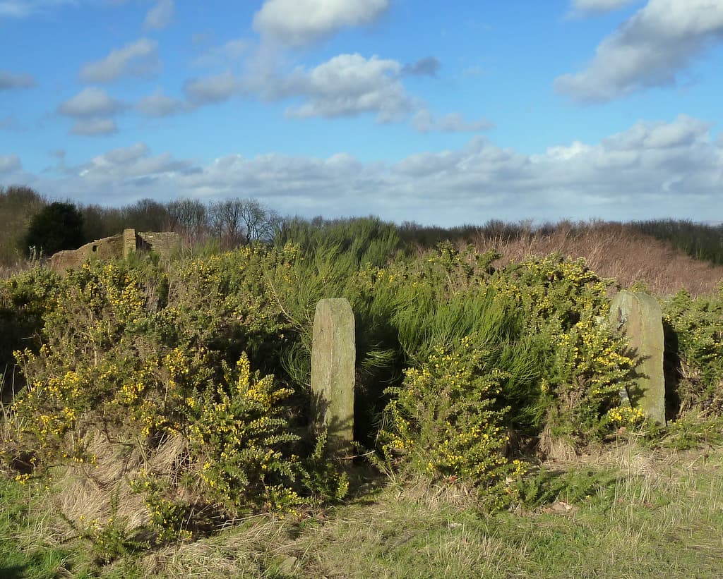Beacon Country Park - Image 3