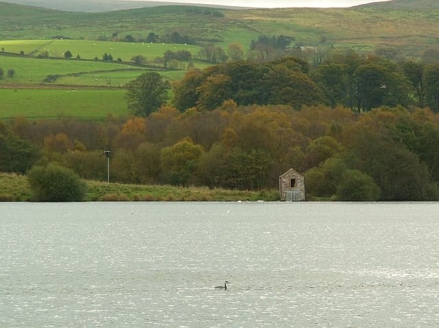 Talkin Tarn Country Park - Image 1