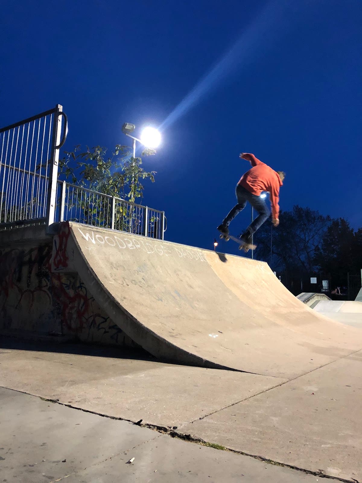 Woodbridge Skate Park - Main view