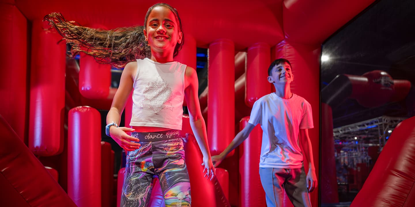 Ninja Warrior UK adventure (Walsall) - Main view