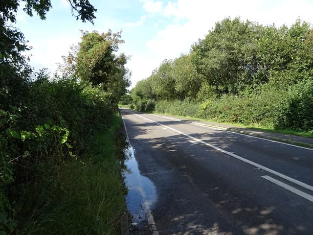 Woodseaves Miniature Railway - Image 2