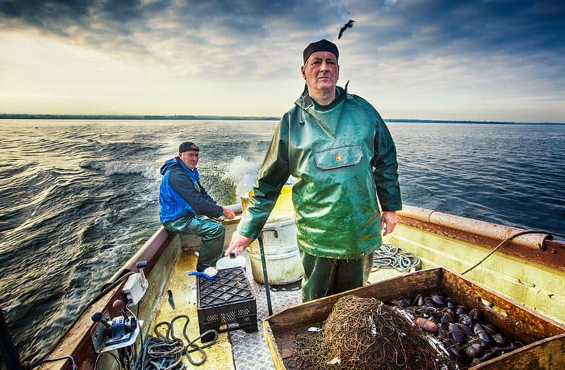 Lough Neagh Discovery Centre - Image 2