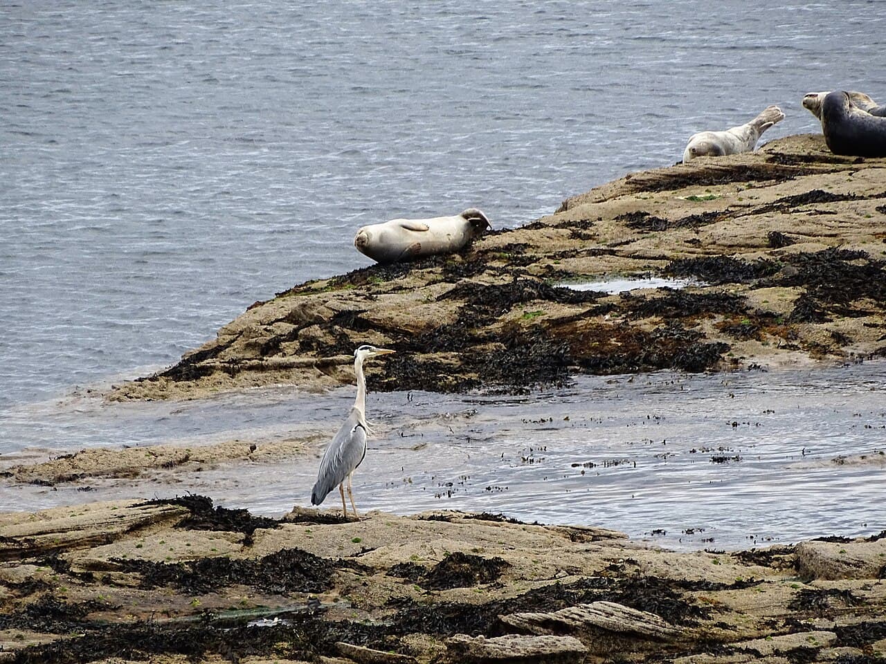 St Mary's Island - Image 5