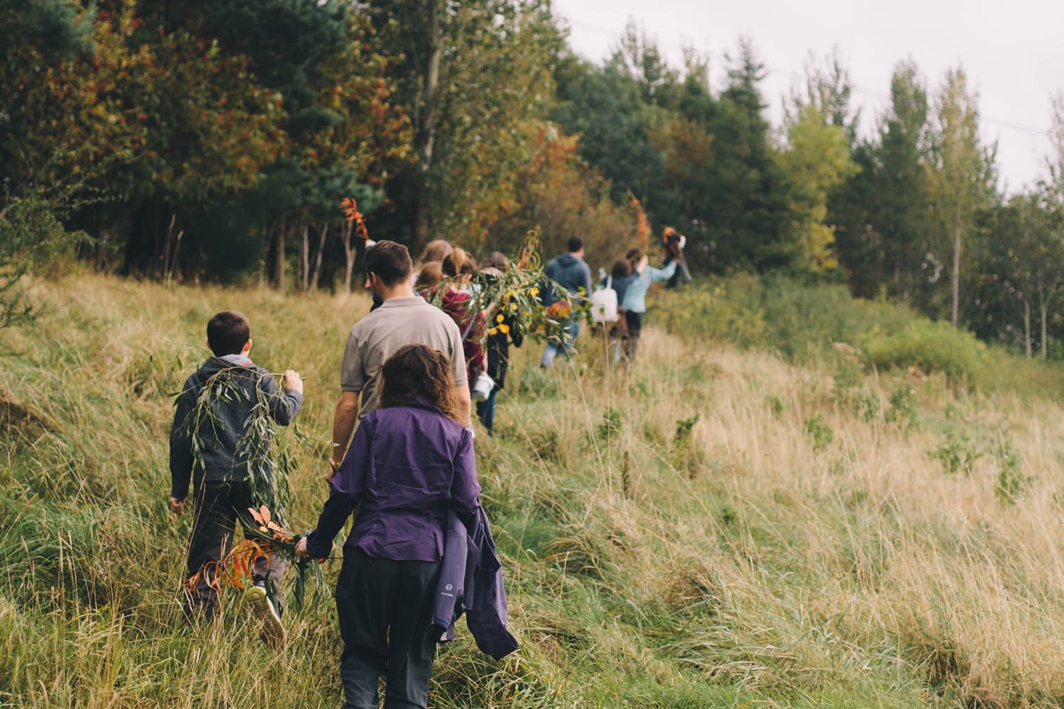 Hamiltonhill Claypits LNR