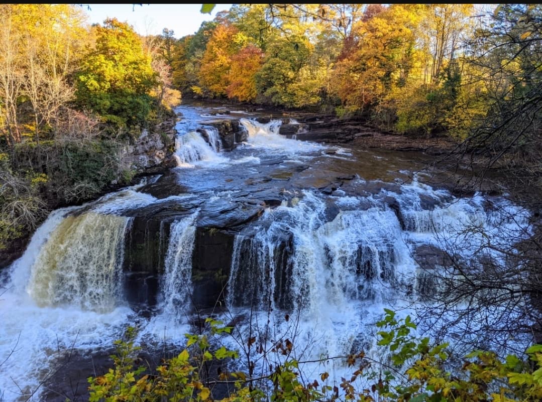 The Falls of Clyde - Image 1
