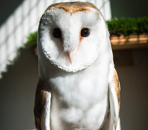 Askham Bryan Wildlife & Conservation Park - Image 2