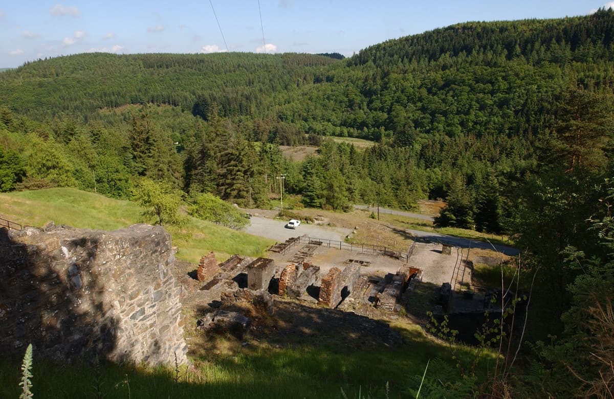 Coed y Brenin Forest Park - Image 2