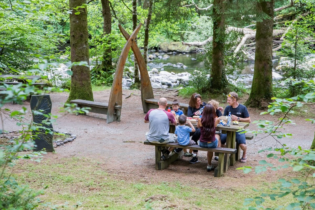 Coed y Brenin Forest Park - Image 4