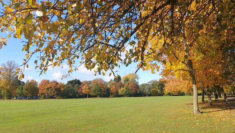 Kings Heath Park - Image 2