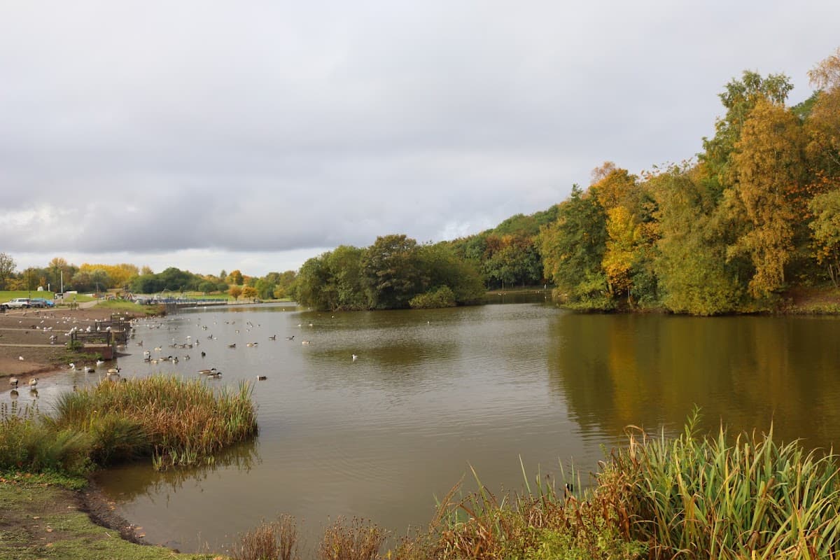 The Central Forest Park Stoke-on-Trent - Image 1
