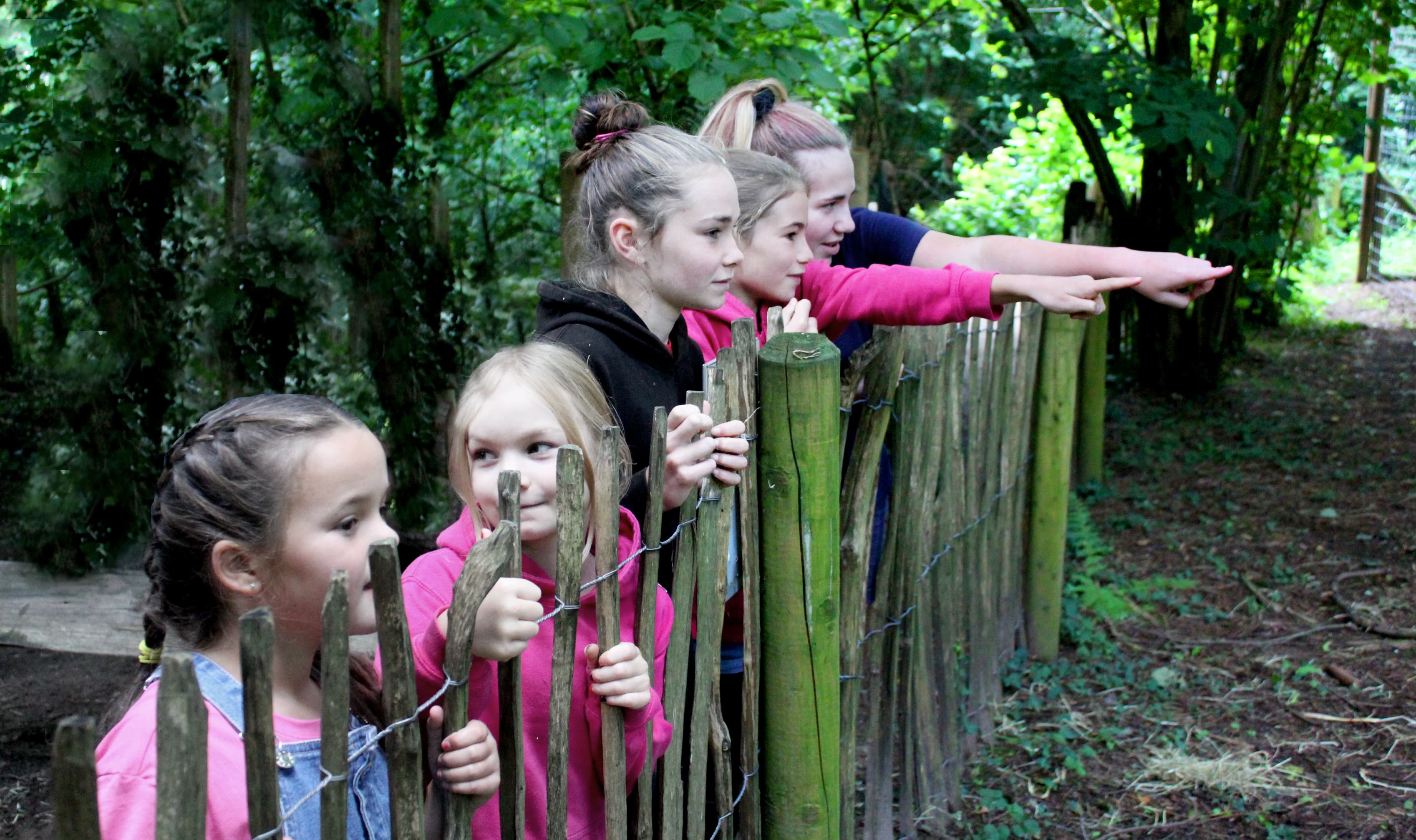 Wildwood Devon - Image 3