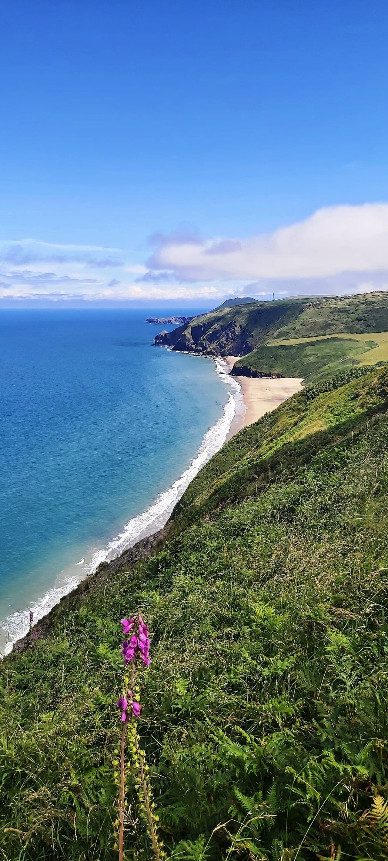 Penbryn Beach - Image 4
