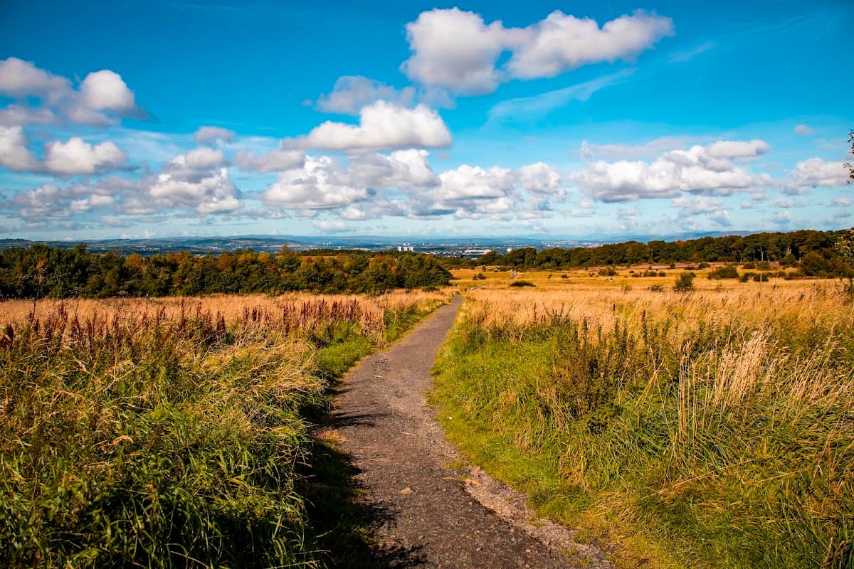 Cathkin Braes - Image 2