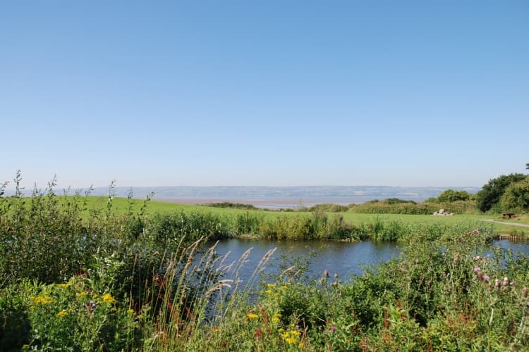 Wirral Country Park - Image 2