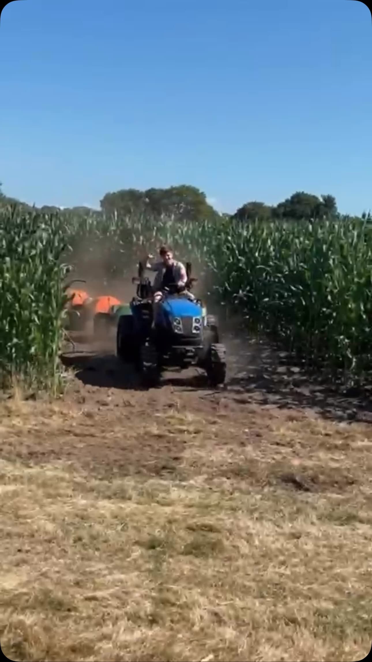 Brimstage Farm & Maze - Image 2