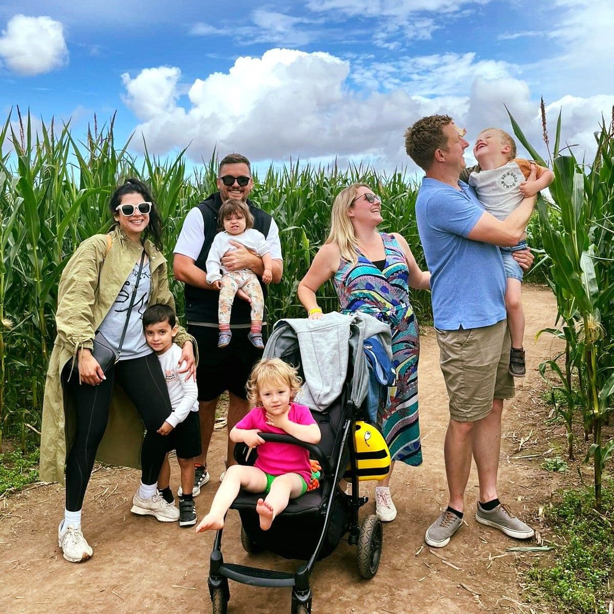 Brimstage Farm & Maze - Image 3