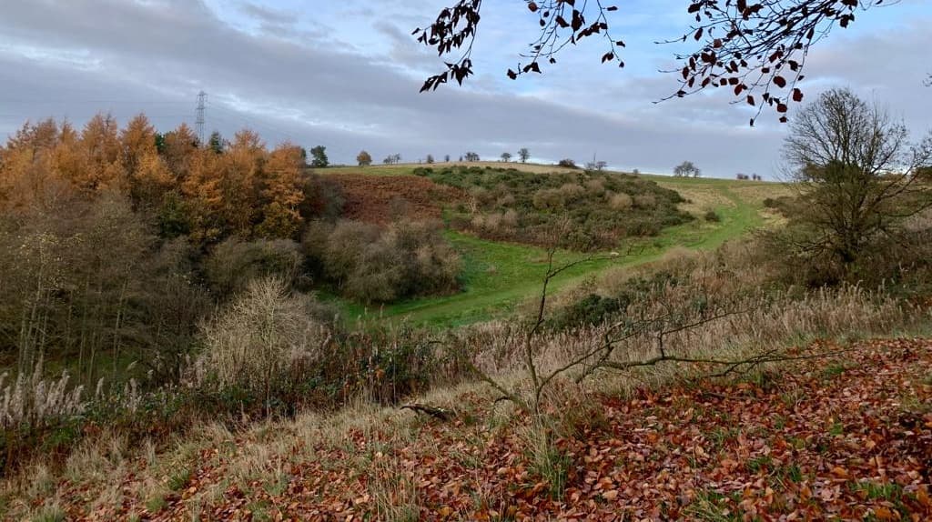 Waseley Hills Country Park - Image 2