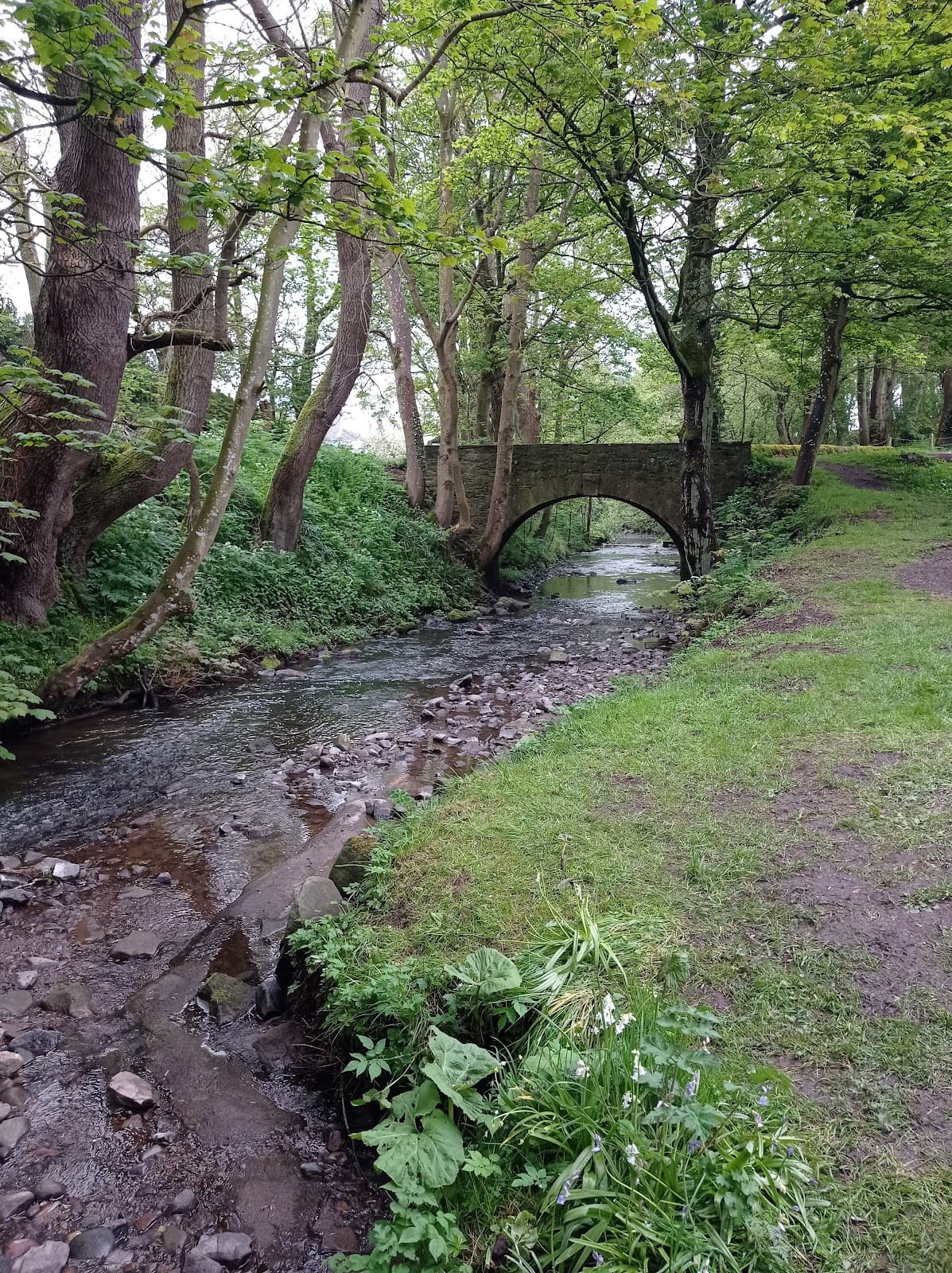 Barry Mill (National Trust for Scotland) - Image 5
