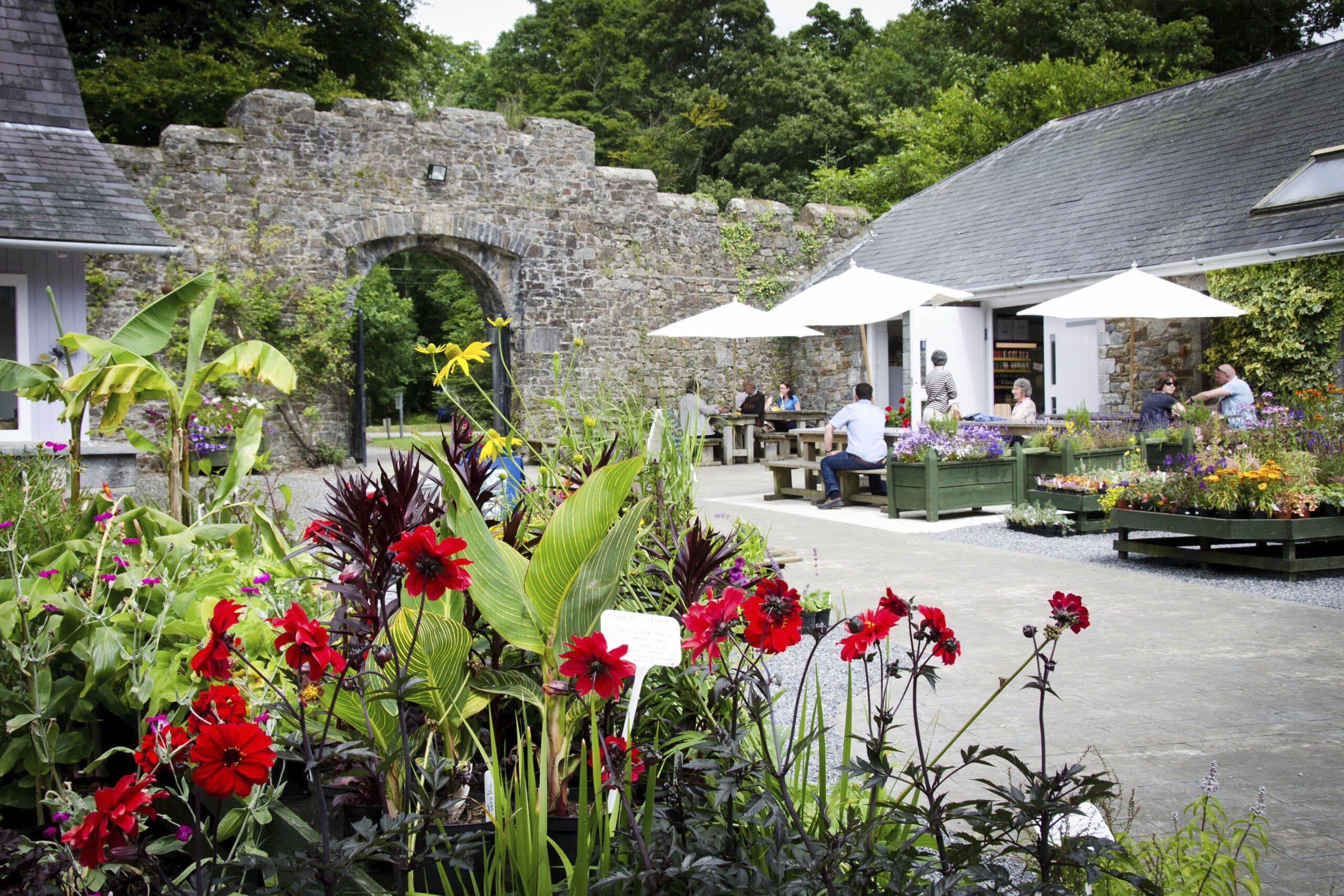 Picton Castle Gardens - Image 2