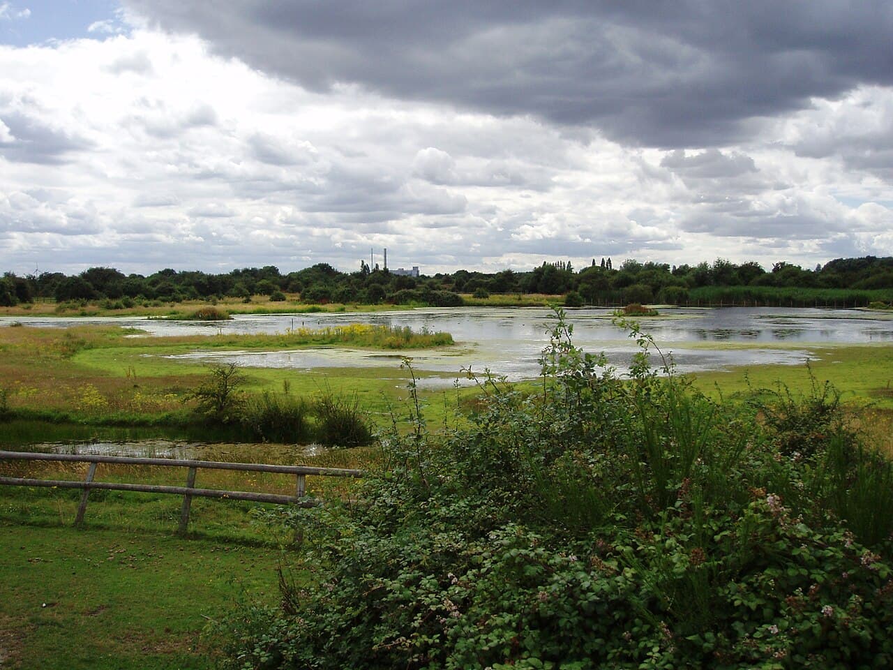 The Chase Local Nature Reserve - Main view