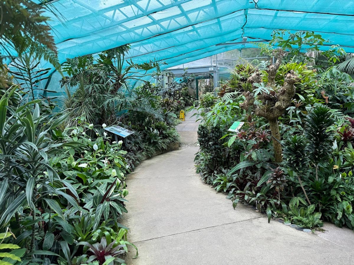 David Welch Winter Gardens - Image 3