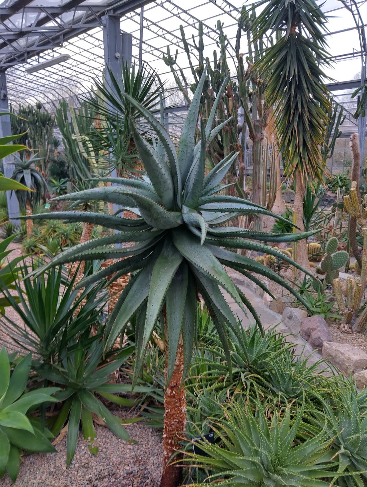 David Welch Winter Gardens - Image 4