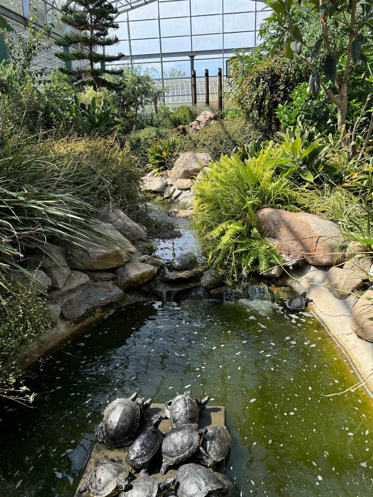 David Welch Winter Gardens - Image 5