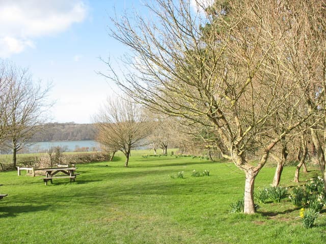 Glan Faenol - Image 3