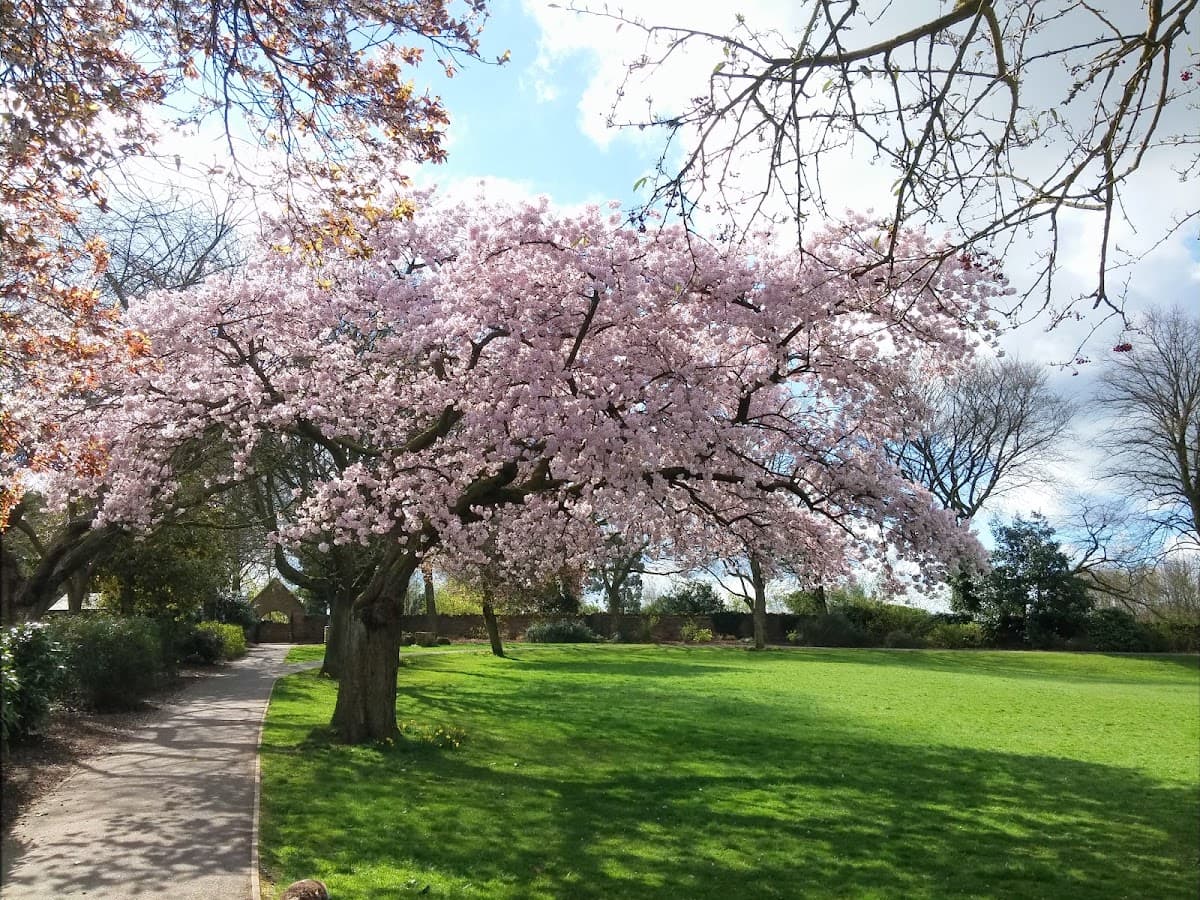 Kingsway Park - Main view