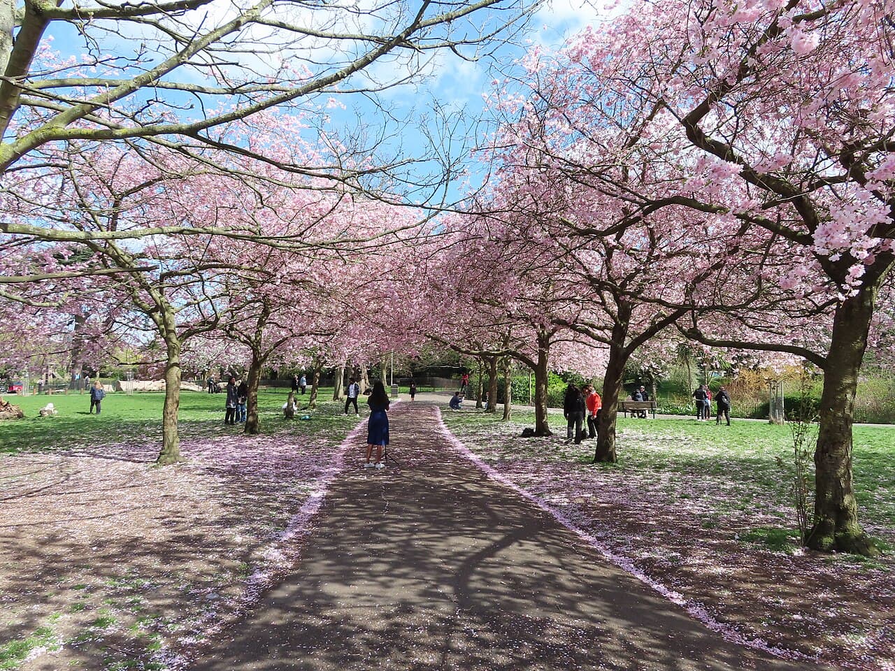 Ravenscourt Park - Main view