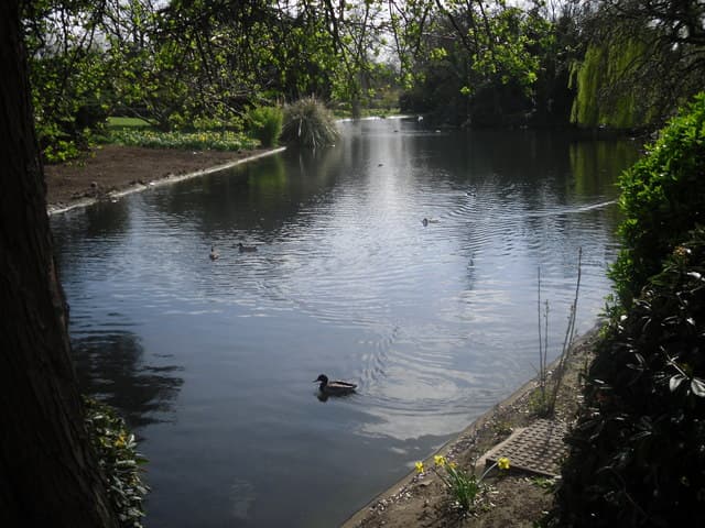 Ravenscourt Park - Image 2