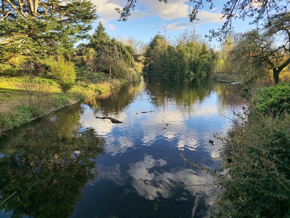 Ravenscourt Park - Image 4