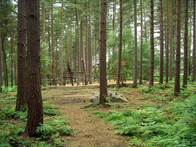 Go Ape Sherwood - Nets Adventure - Image 3